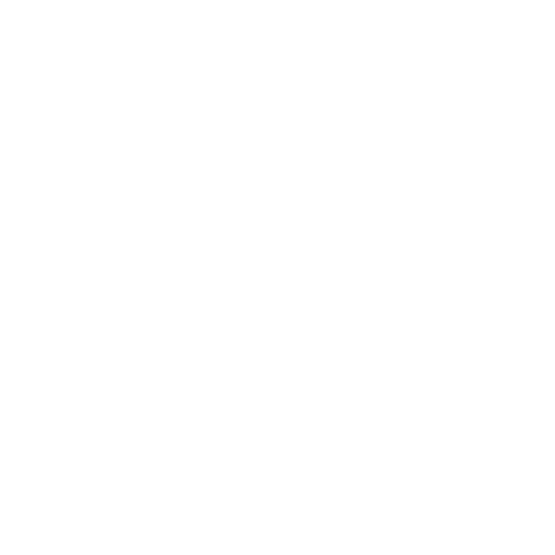 DevInf